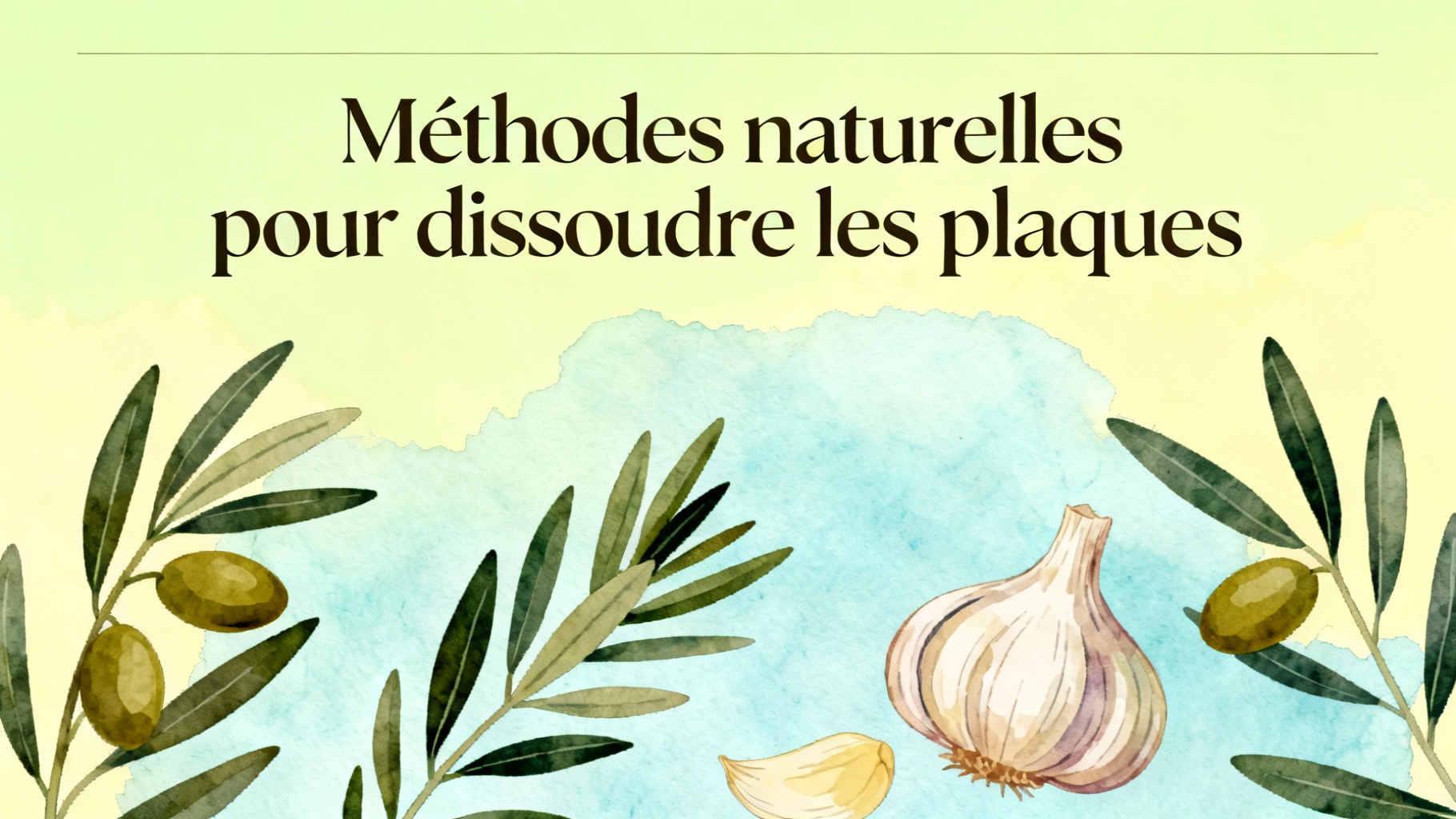 Méthodes naturelles pour dissoudre les plaques
