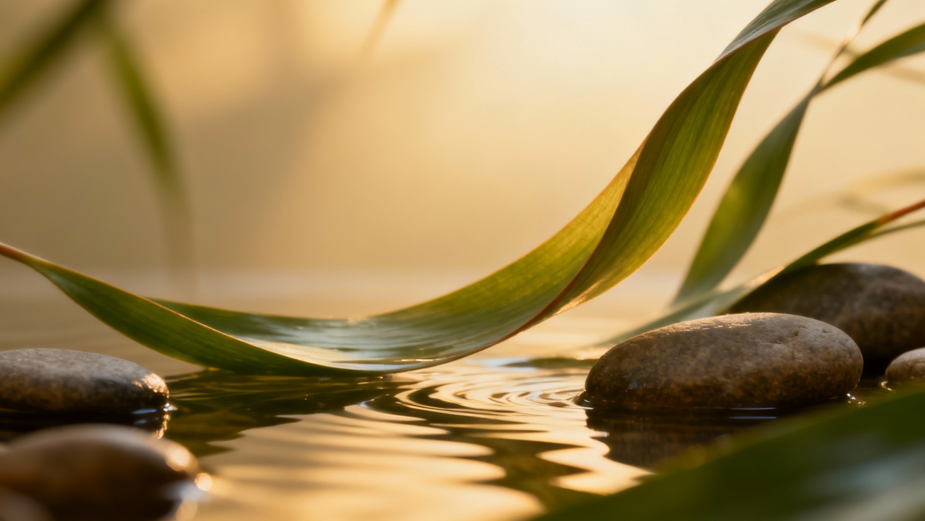 Prurit vulvaire : causes, traitements et photos explicatives